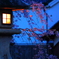 blue moment