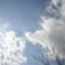 庭から見上げた空