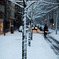 Back to Snowy Winter