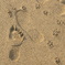 DSC07121