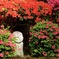 花に囲まれ いい感じ。。