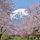 日本の絶景