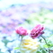 FLOWER BED