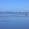 春の砂浜