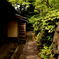 茶室への通り路