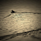 Ripple