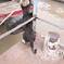 ベトナムの犬 3匹目（うしろ）