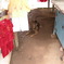 ベトナムの犬 4匹目