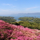 長串山公園より2