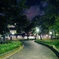 夜の公園を散歩