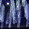 月夜の不安