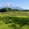 日本的風景