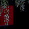 奈加美神社の藤