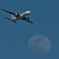 Moon&JAL777