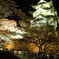 弘前公園天守閣