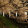 弘前公園西堀１