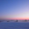 初雪