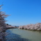 弘前公園西堀