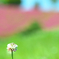ぽつんと。。。
