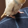 ありがとう！