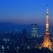 TOKYO TOWERS