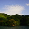 泡みたいな雲
