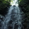 新緑の水