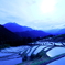 丸山千枚田