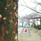 IMGP0661