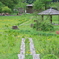 春の花咲く植物園