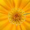 DSCN1081s