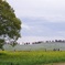 ひたちなか海浜公園