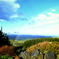 A people want to see like this view. 