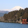 富士山と鳥居