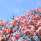 春の訪れ