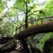 黒山三滝