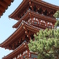 薬師寺 三重塔