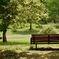 Bench in the Healing...