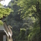 朝の円覚寺