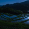 月夜の棚田