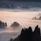 foggy wave