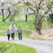 桜吹雪街道