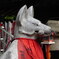 ＦＯＸＹＰＨＯＴＯ