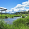 鳥居のある風景