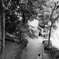 代官山公園