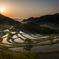 大山千枚田