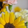 Mother`s Day