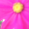 おはな２