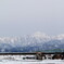 大日橋2010.2.14
