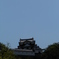 DSCN0124